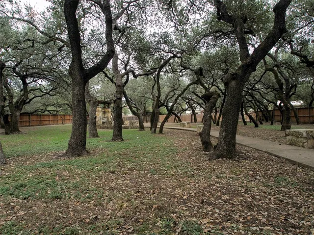 a huge green field with lots of trees