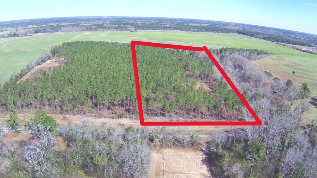 2 Ozark Road Newville, AL 36353 - Photo 1 of 3