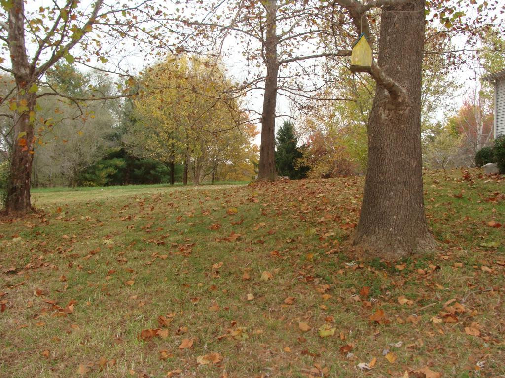 1131 Robertson Road Chuckey, TN 37641 - Photo 15 of 17 Front Yard