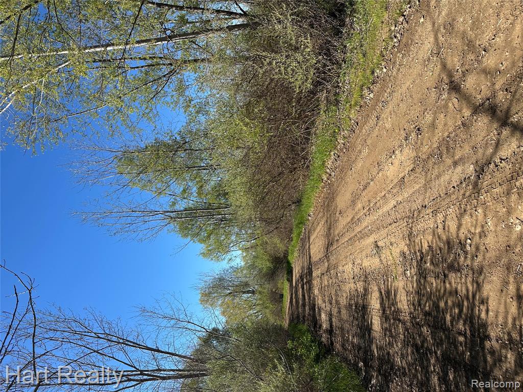 13 Single Tree Circle Dryden, MI 48428 - Photo 10 of 10