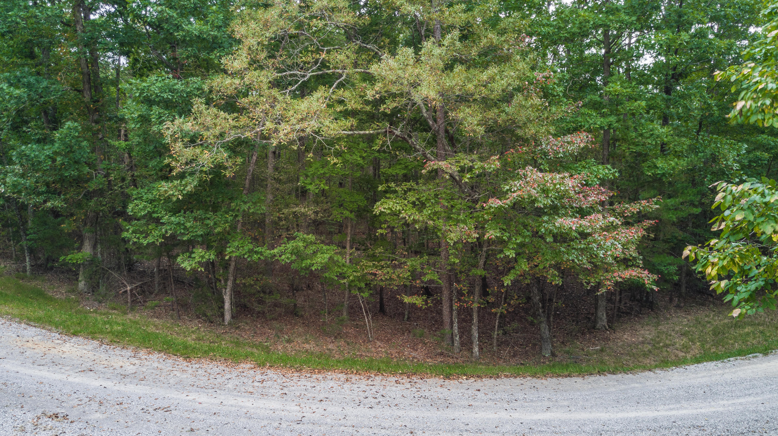 0 West Bluff Road, Unit H26 Cloudland, GA 30731 - Photo 12 of 13 SK-13