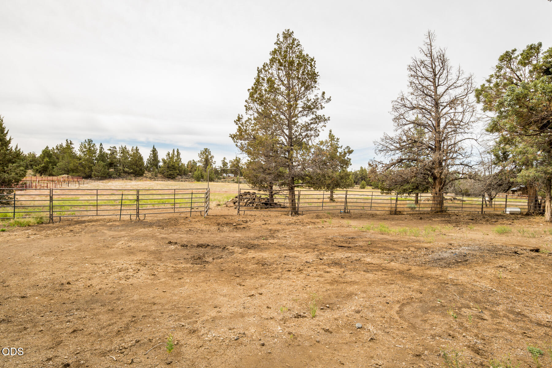 22305 Neff Road Bend, OR 97701 - Photo 43 of 55