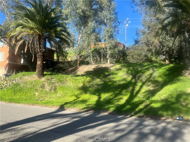 a view of a yard with potted plants and large trees