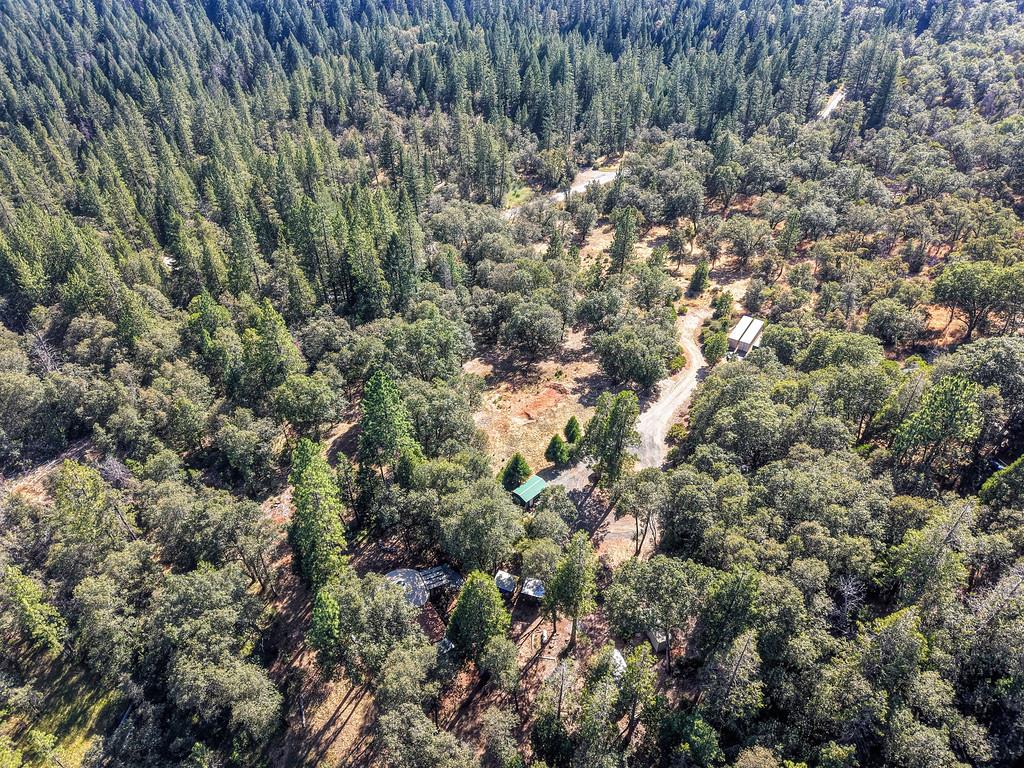 17008 Bloomfield Ridge Place Nevada City, CA 95959 - Photo 51 of 52