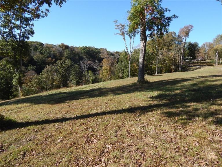 5 Polston Town Road Russell Springs, KY 42642 - Photo 4 of 10 Gallery Image 4