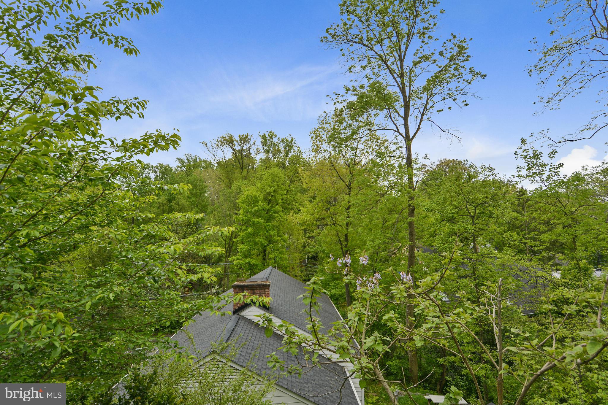 5302 Waneta Road Bethesda, MD 20816 - Photo 3 of 21 View