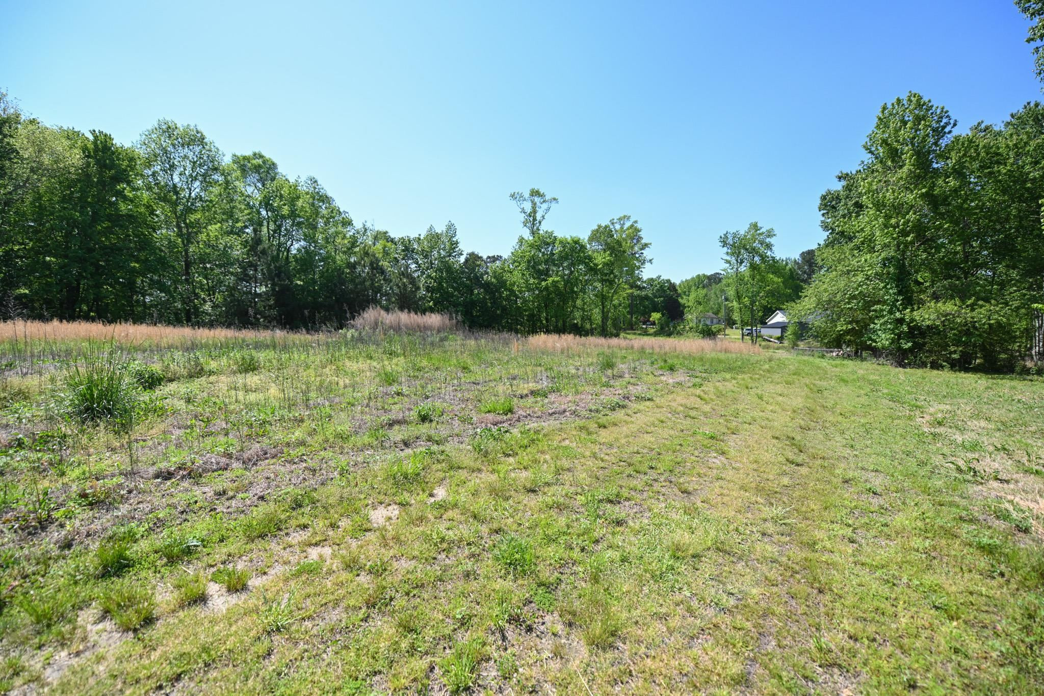 Lot 2 Lynch Road Selma, NC 27576 - Photo 1 of 6 a view of a yard with a tree