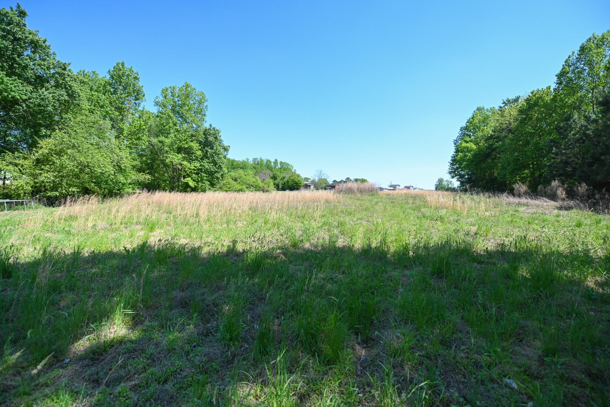 Lot 2 Lynch Road Selma, NC 27576 - Photo 3 of 6 a view of an outdoor space and a yard