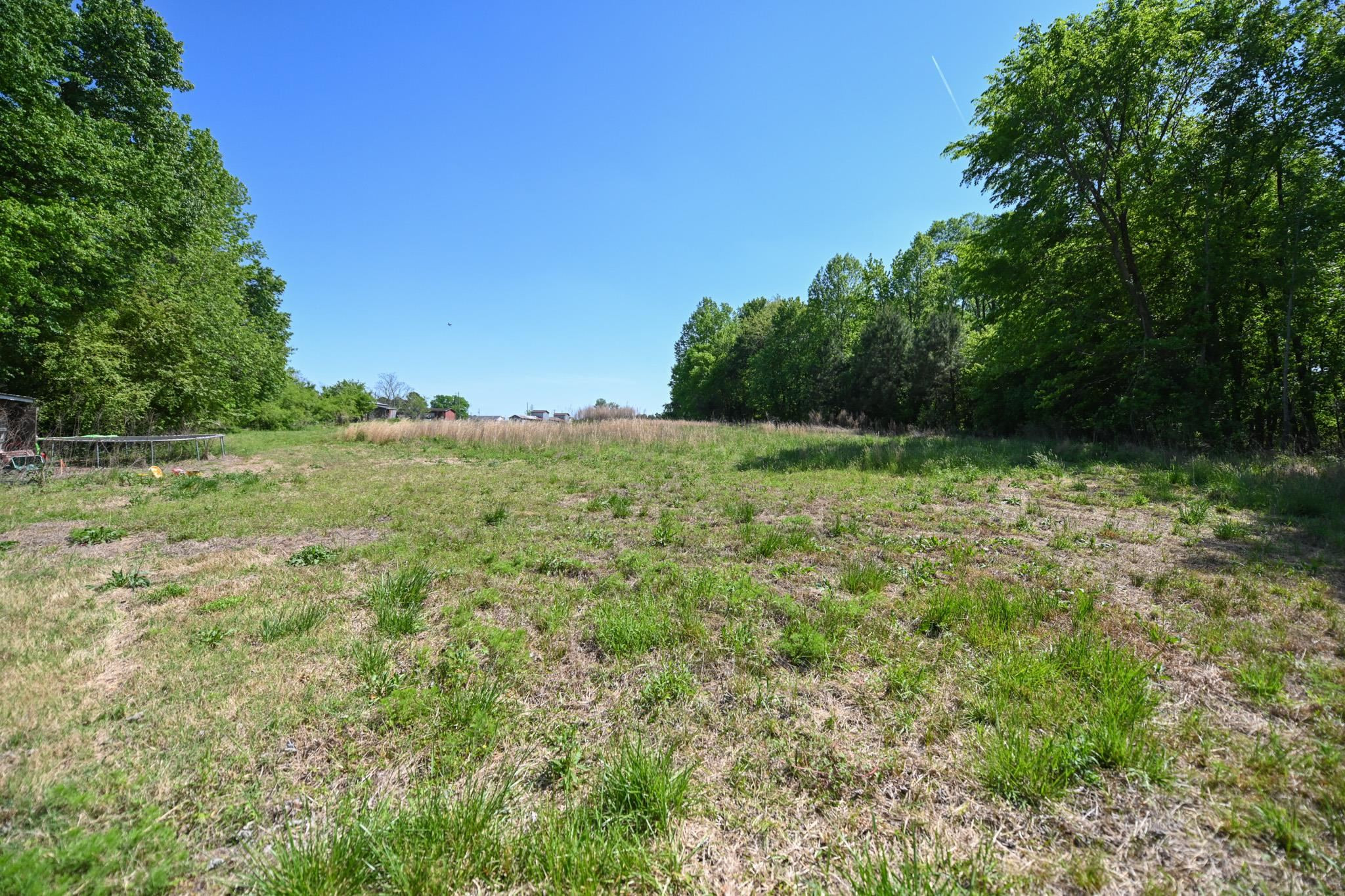 Lot 2 Lynch Road Selma, NC 27576 - Photo 4 of 6 a view of outdoor space with trees all around