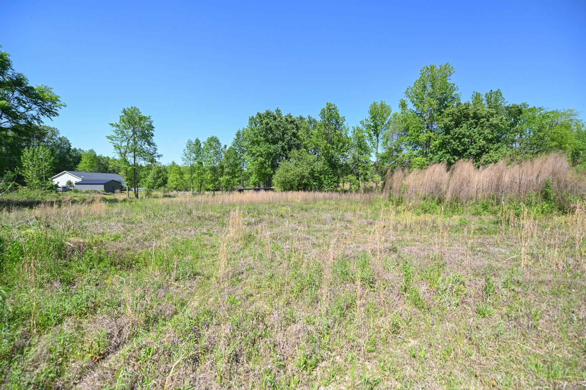 Lot 2 Lynch Road Selma, NC 27576 - Photo 5 of 6 a backyard of a house with lots of green space and trees