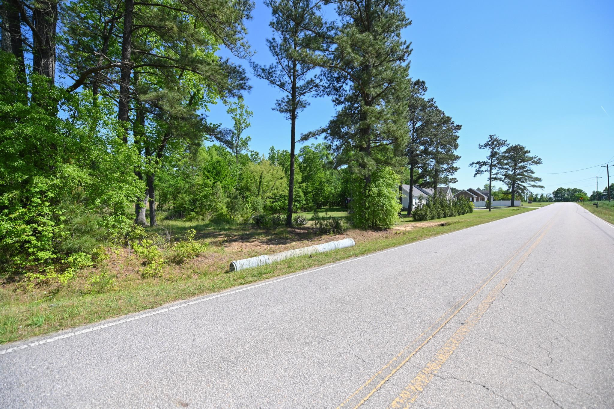 Lot 2 Lynch Road Selma, NC 27576 - Photo 6 of 6 a view of a road with a yard and large trees