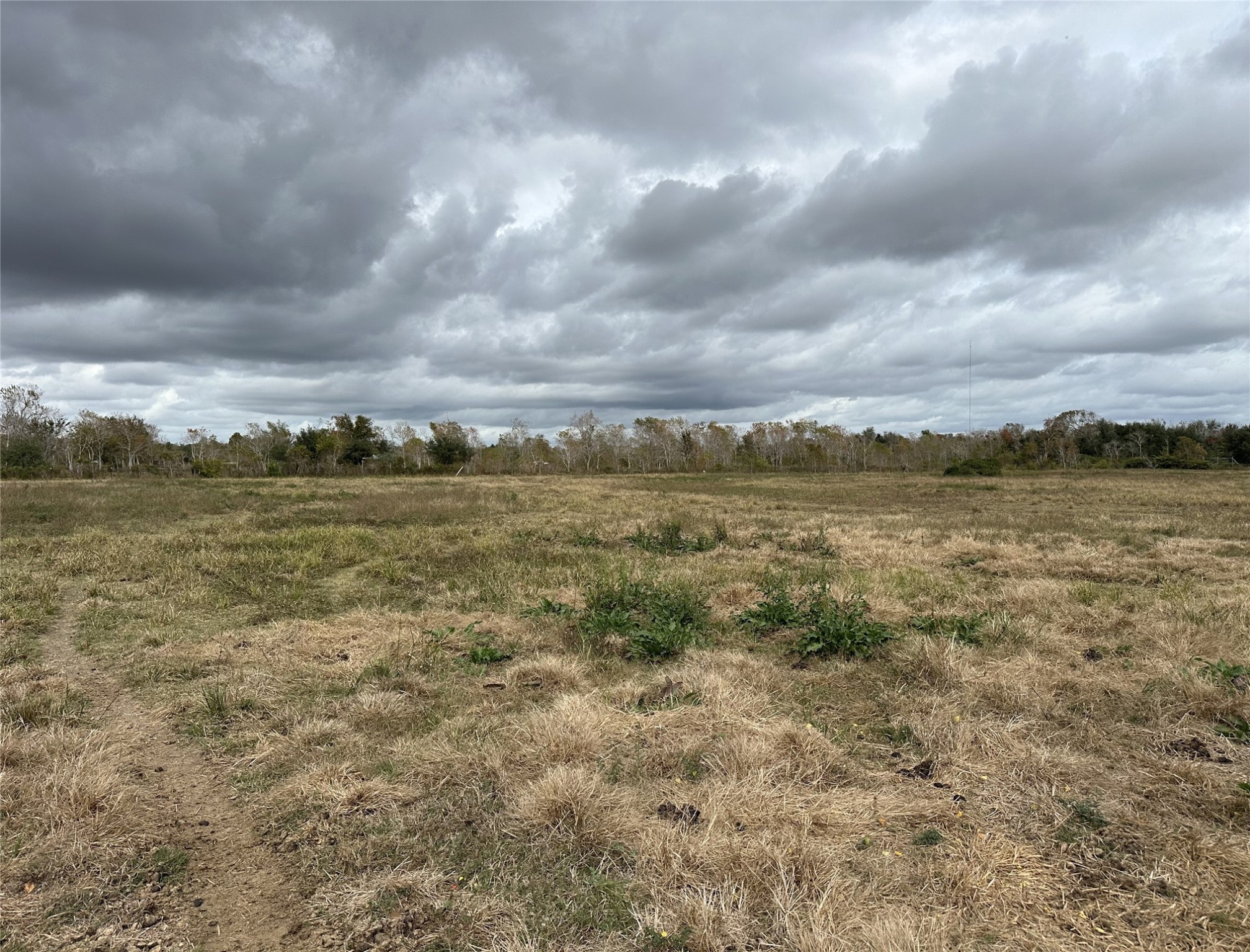 13803 Norris Road Rosharon, TX 77583 - Photo 18 of 29 a view of an ocean