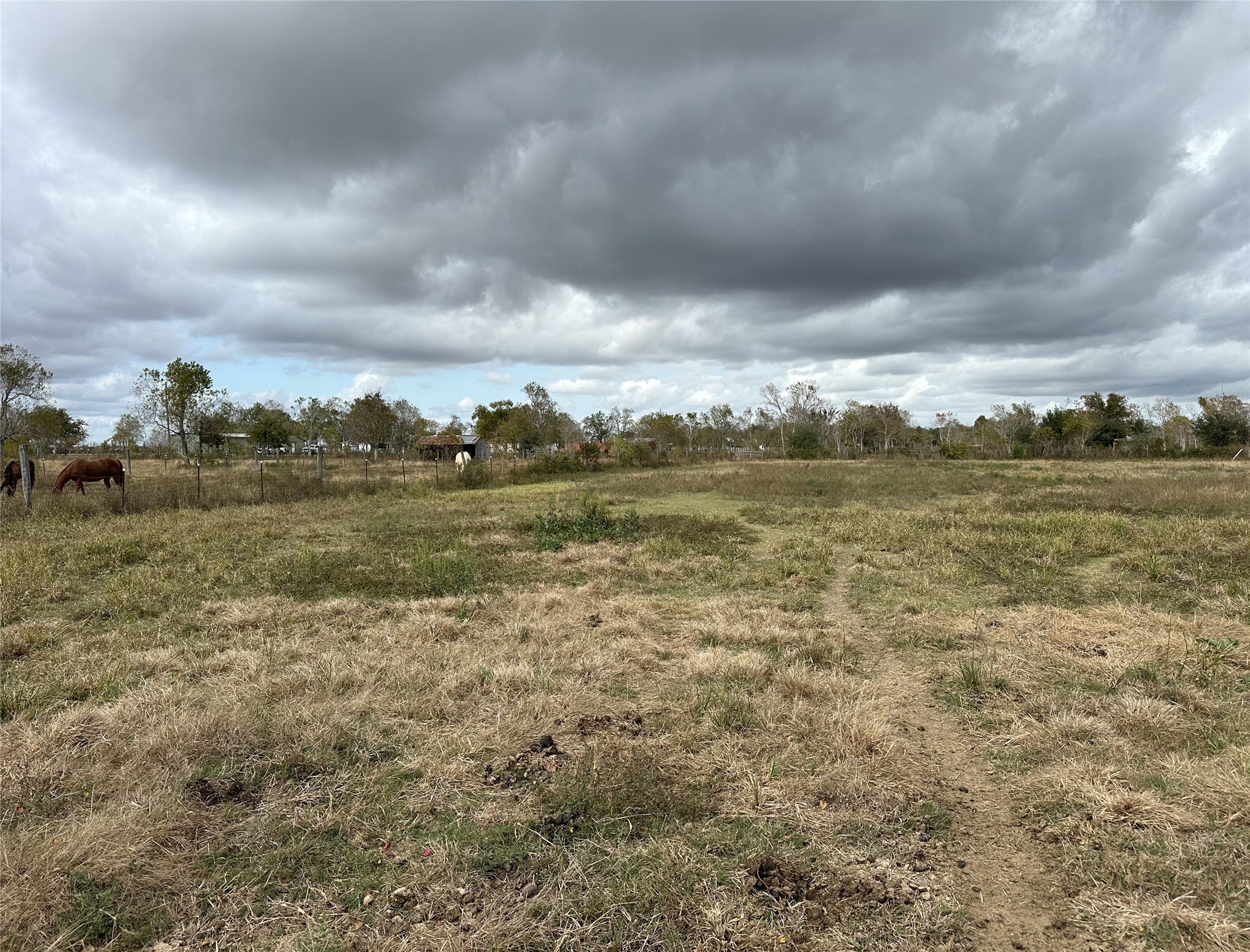 13803 Norris Road Rosharon, TX 77583 - Photo 19 of 29