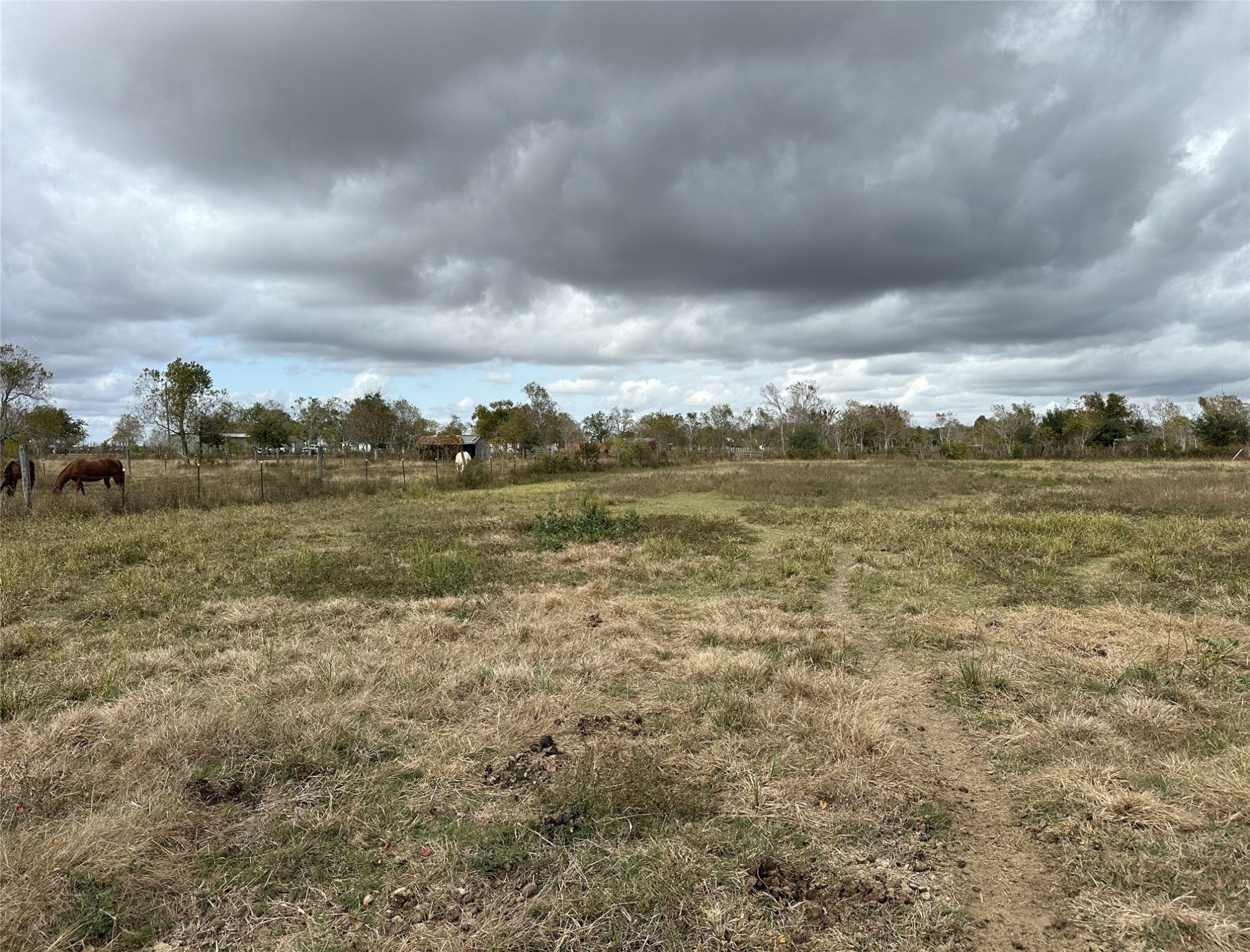 13803 Norris Road Rosharon, TX 77583 - Photo 19 of 29