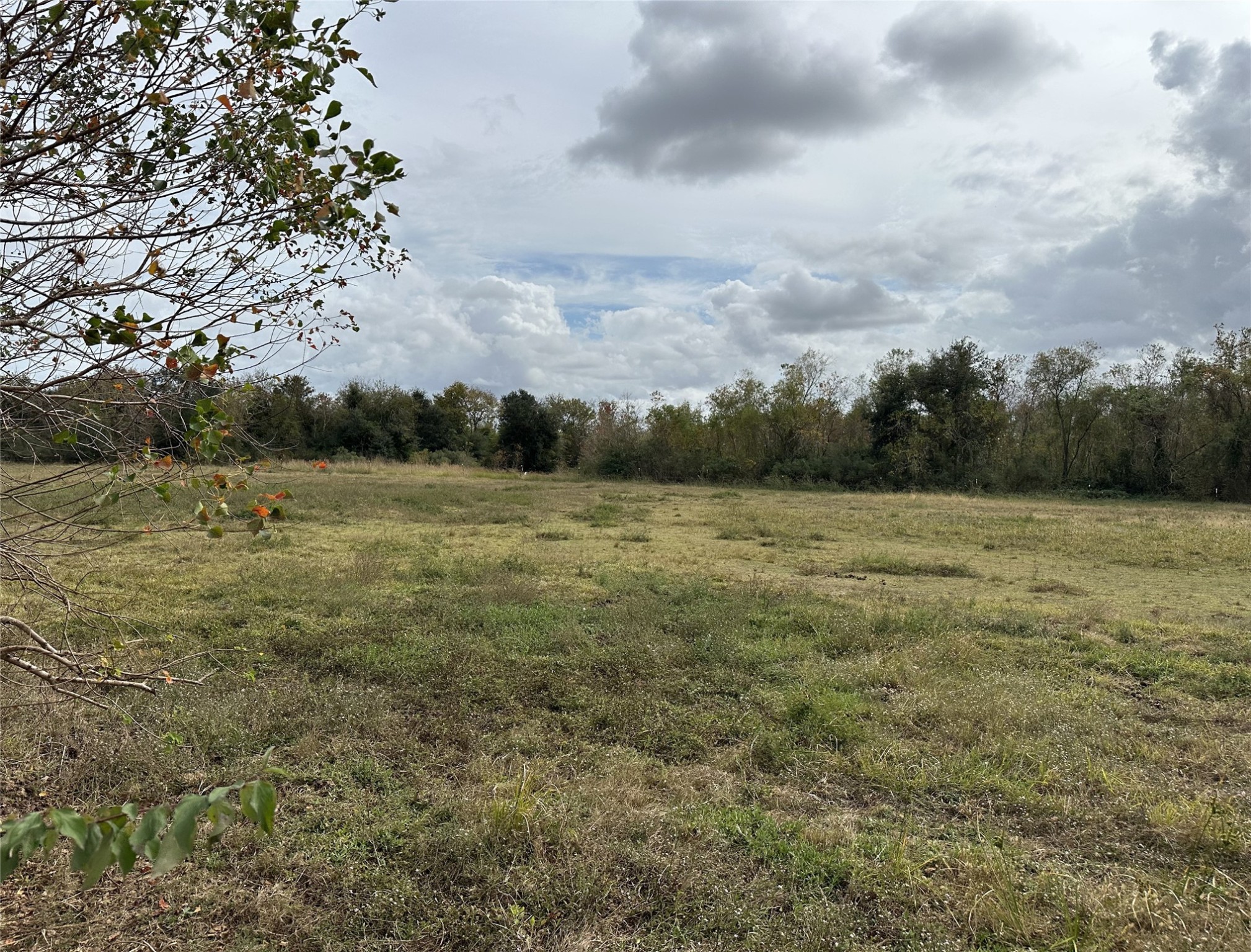 13803 Norris Road Rosharon, TX 77583 - Photo 20 of 29 a view of a field with trees in background