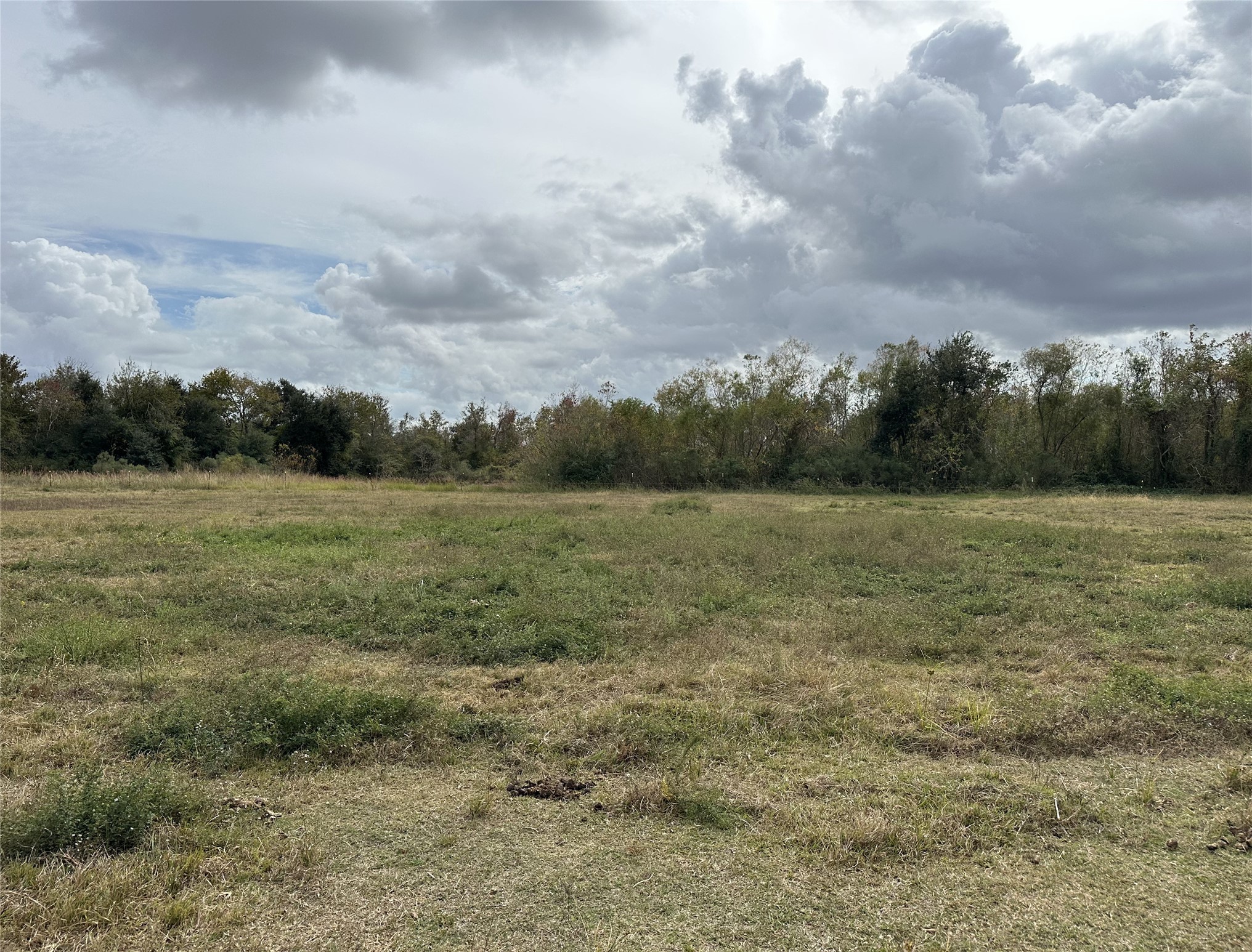 13803 Norris Road Rosharon, TX 77583 - Photo 23 of 29 a view of a field with trees in background