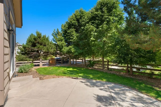 a view of a yard with plants and trees
