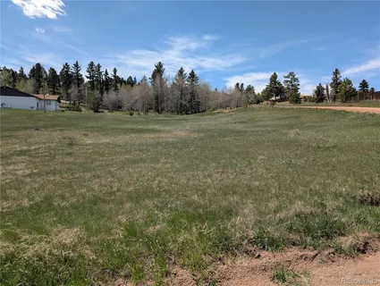 a view of a field with trees in background