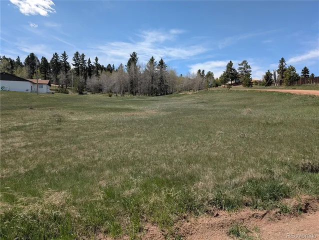 a view of a field with trees in background