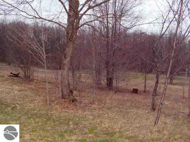6517 Covert Road Northeast Mancelona, MI 49659 - Photo 22 of 24 1726223-21.JPG