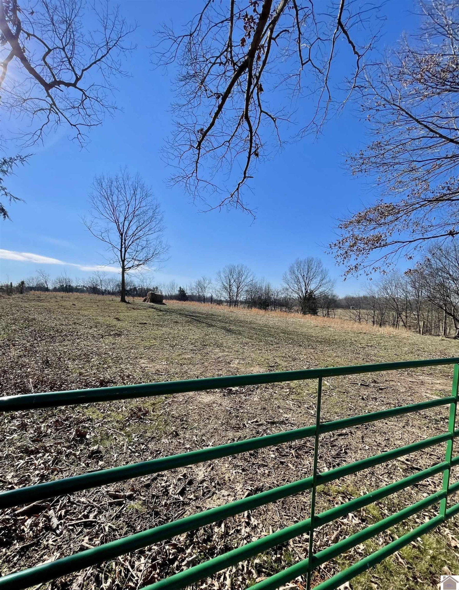 4339 Almo-Shiloh Road Almo, KY 42020 - Photo 6 of 7 Photo 6