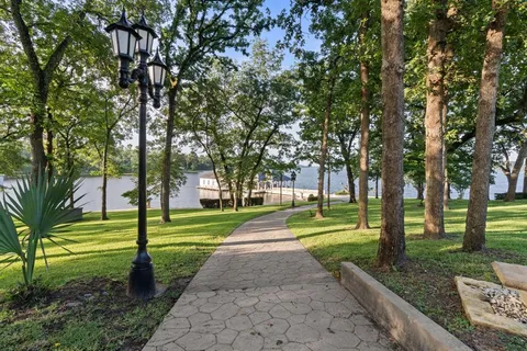 a view of a park with large trees