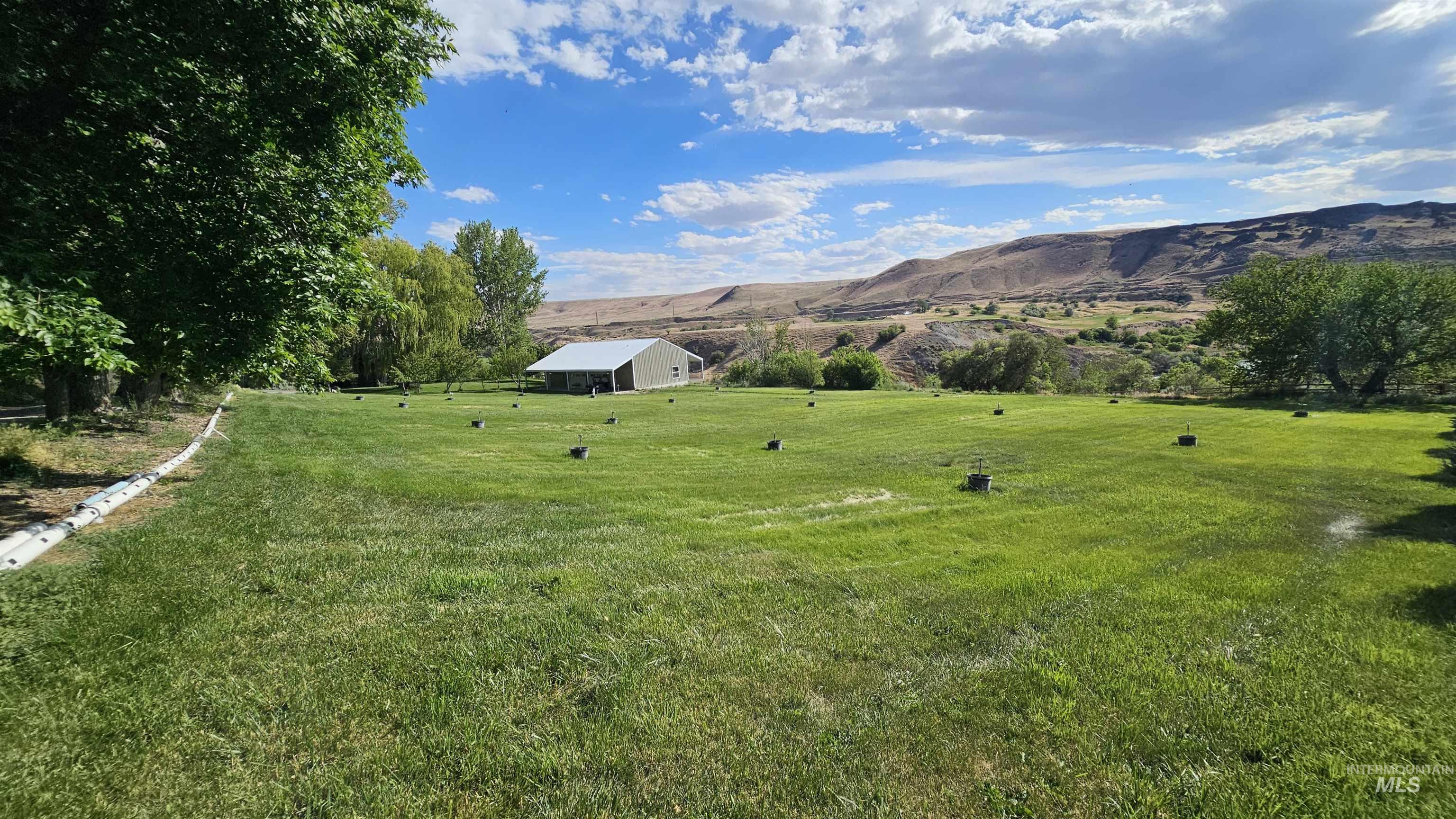 863 Pottery Road Bliss, ID 83314 - Photo 15 of 45 Expansive grassy field featuring a large shade tree, distant hills, a detached building with a metal roof, and scattered irrigation elements