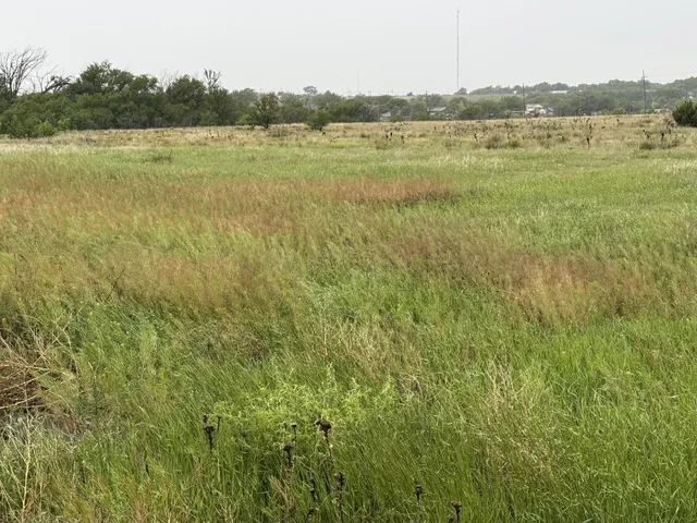 a view of a lake and mountain in the back