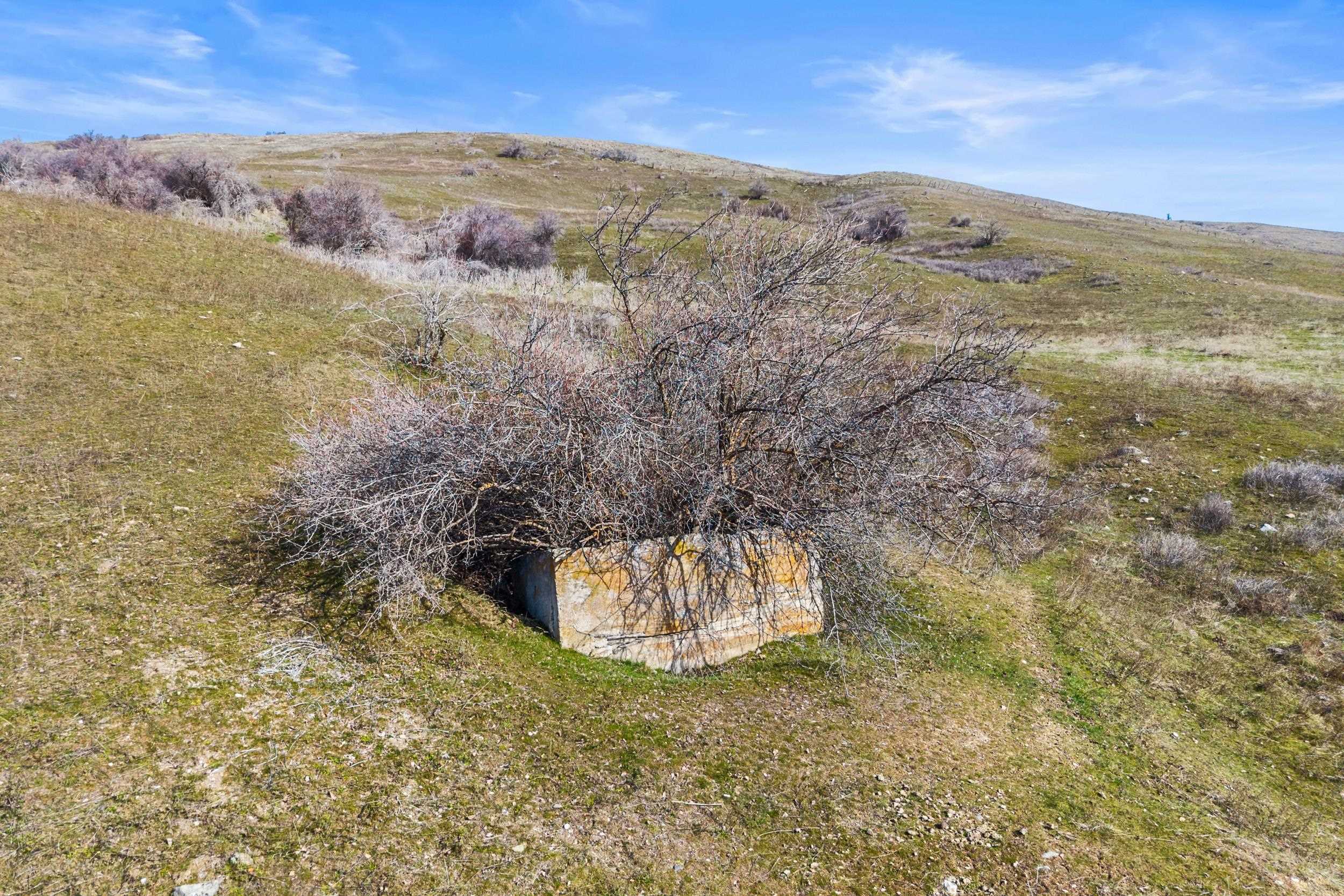 3031 Hall Creek Road Inchelium, WA 99138 - Photo 28 of 33