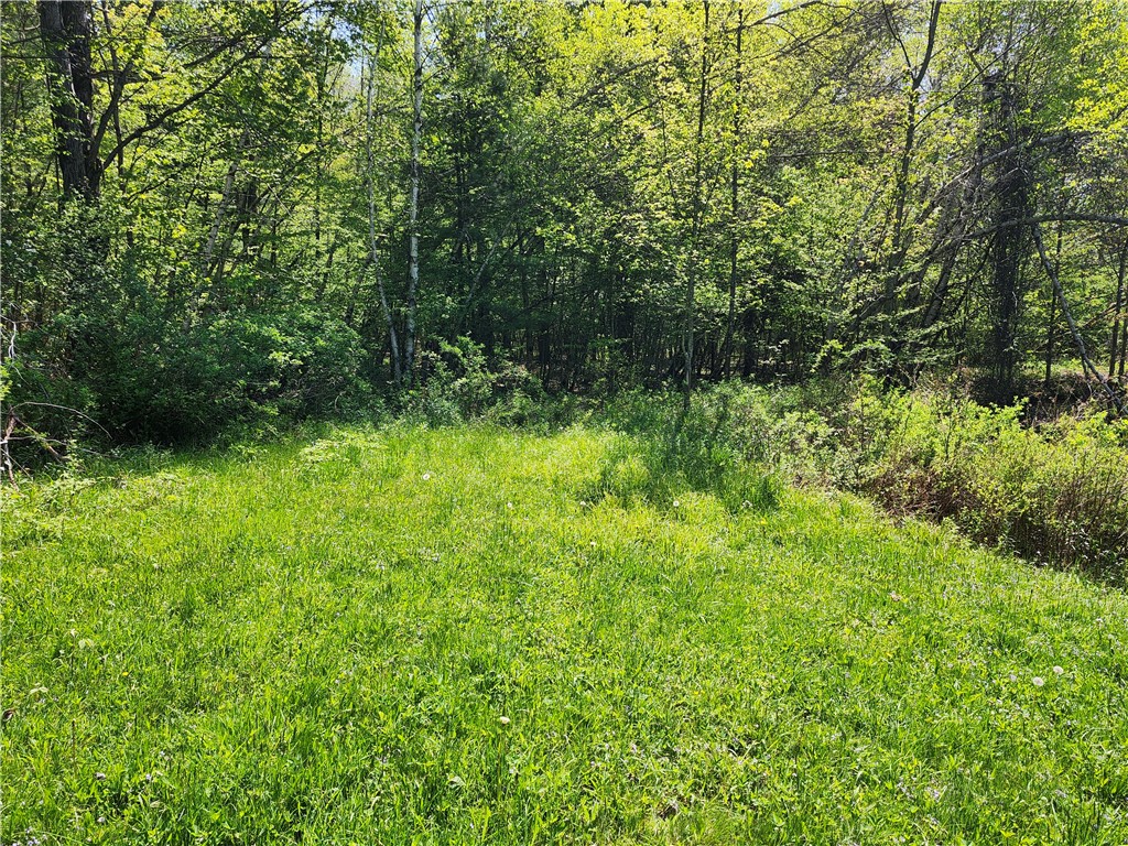 Houck Road Sidney, NY 13838 - Photo 2 of 2