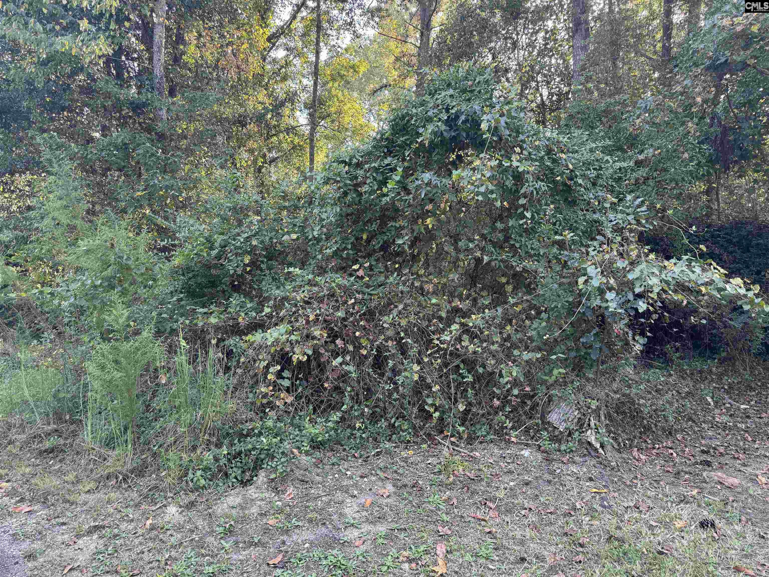 0 Quattlebaum Avenue Ridge Spring, SC 29129 - Photo 5 of 9