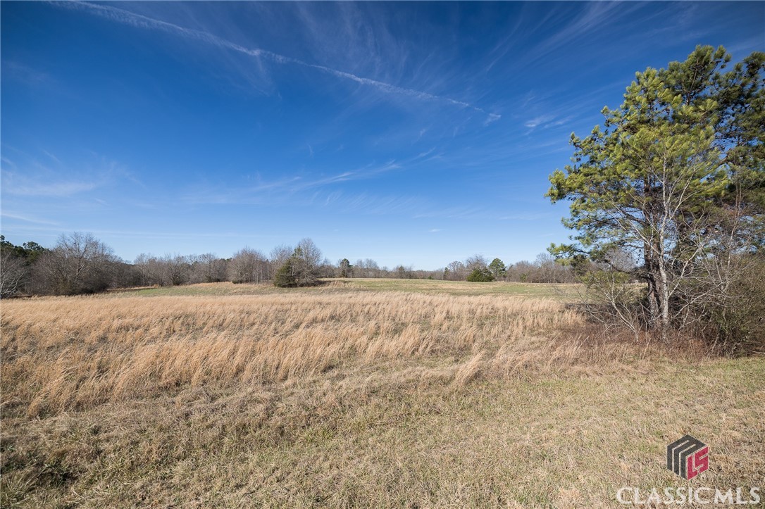 Tract5 A B Martin Road Good Hope, GA 30641 - Photo 21 of 21