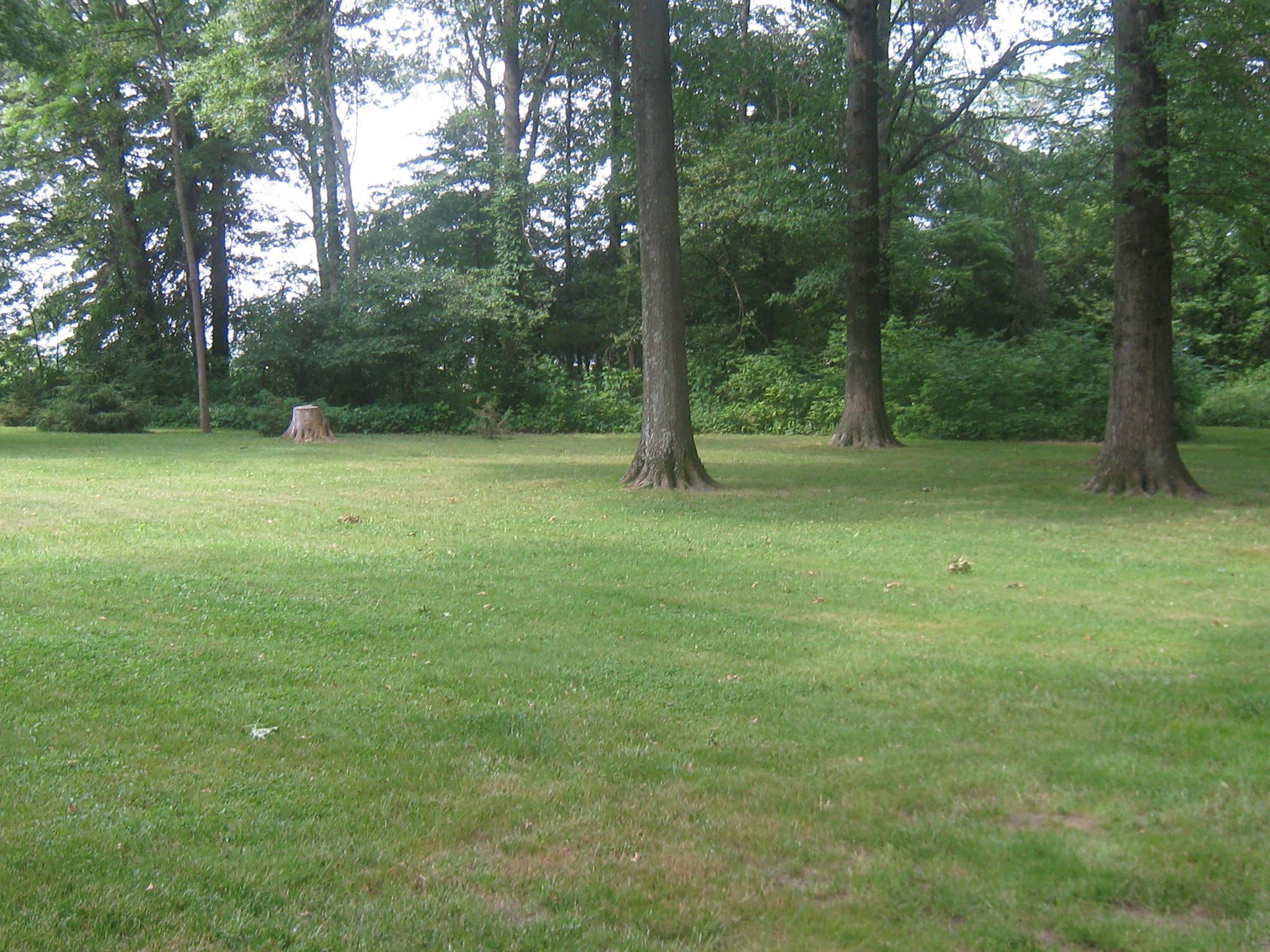 5131 Troy Road Delaware, OH 43015 - Photo 8 of 12