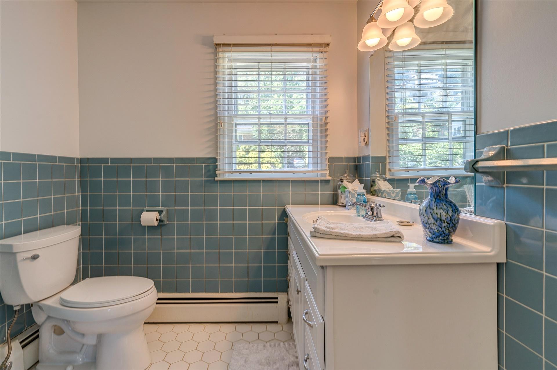 3009 Burnleigh Road Southwest Roanoke, VA 24014 - Photo 51 of 59 a bathroom with a sink a toilet and window