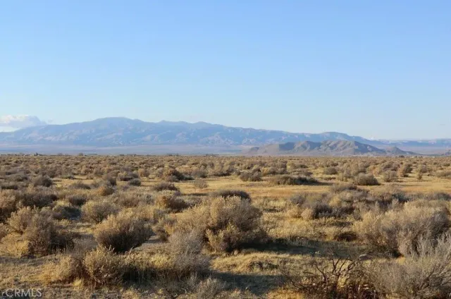 a view of a lush green field