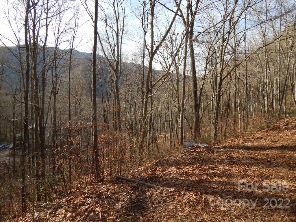 0 Horse Cove Road Canton, NC 28716 - Photo 1 of 12 Gallery Image 1