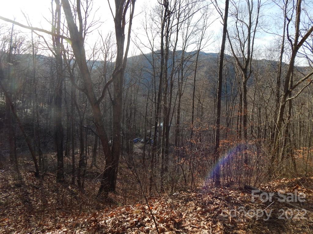 0 Horse Cove Road Canton, NC 28716 - Photo 2 of 12 Gallery Image 2