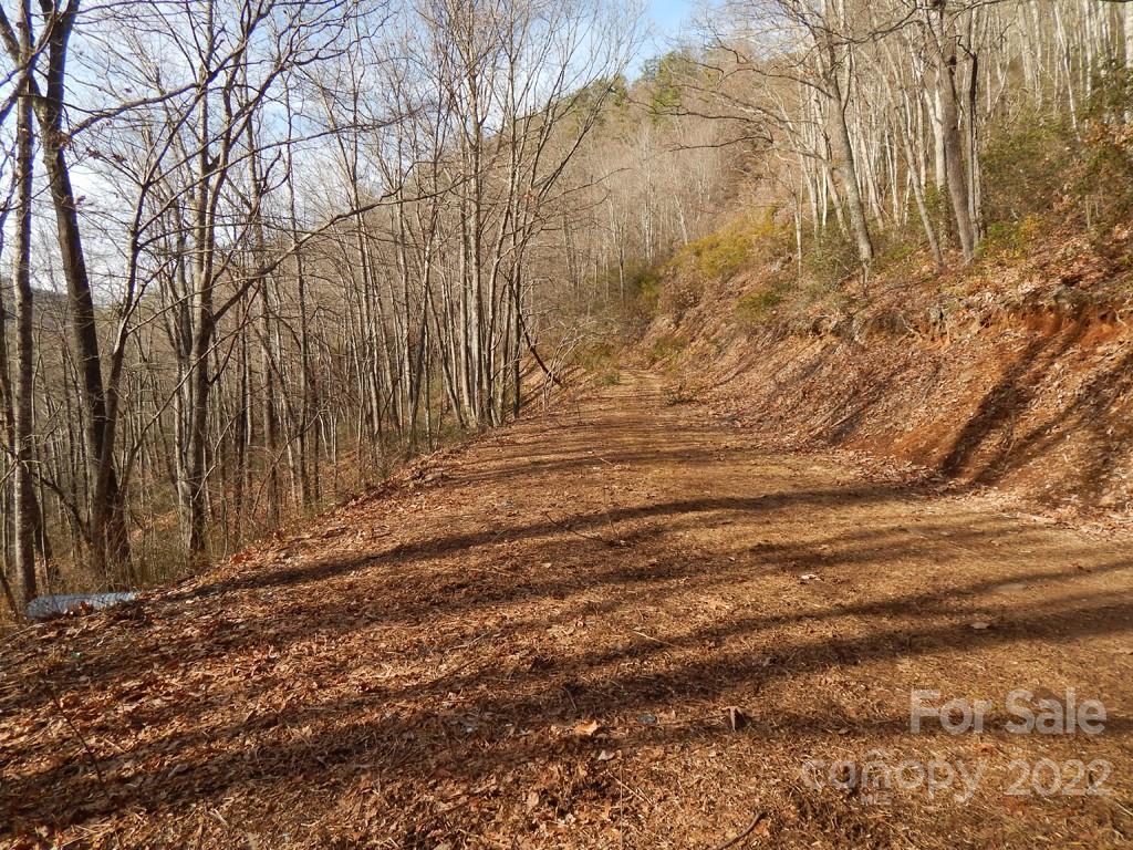 0 Horse Cove Road Canton, NC 28716 - Photo 3 of 12 Gallery Image 3