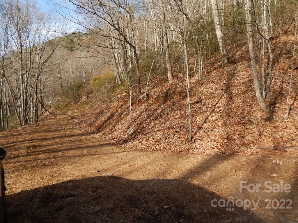 0 Horse Cove Road Canton, NC 28716 - Photo 4 of 12 Gallery Image 4