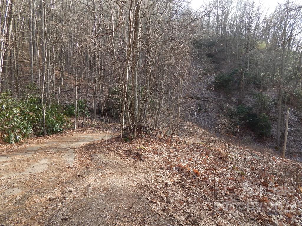 0 Horse Cove Road Canton, NC 28716 - Photo 5 of 12 Gallery Image 5
