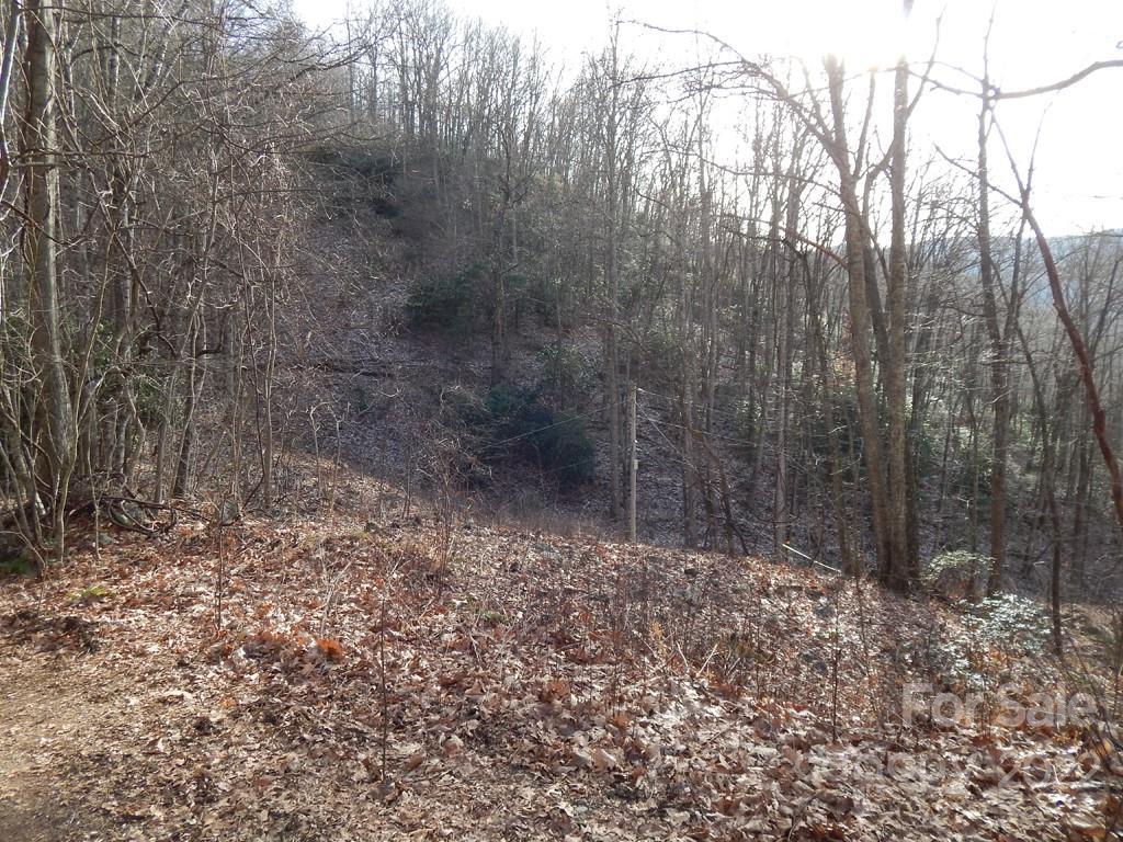 0 Horse Cove Road Canton, NC 28716 - Photo 6 of 12 Gallery Image 6