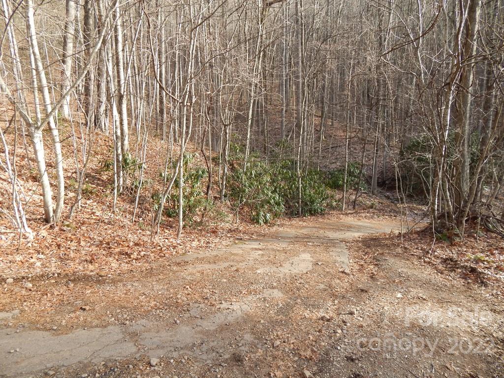 0 Horse Cove Road Canton, NC 28716 - Photo 7 of 12 Gallery Image 7