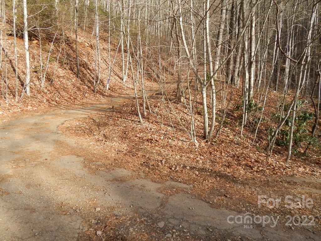 0 Horse Cove Road Canton, NC 28716 - Photo 8 of 12 Gallery Image 8