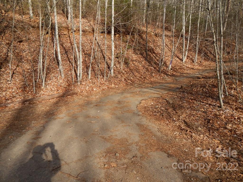 0 Horse Cove Road Canton, NC 28716 - Photo 9 of 12 Gallery Image 9