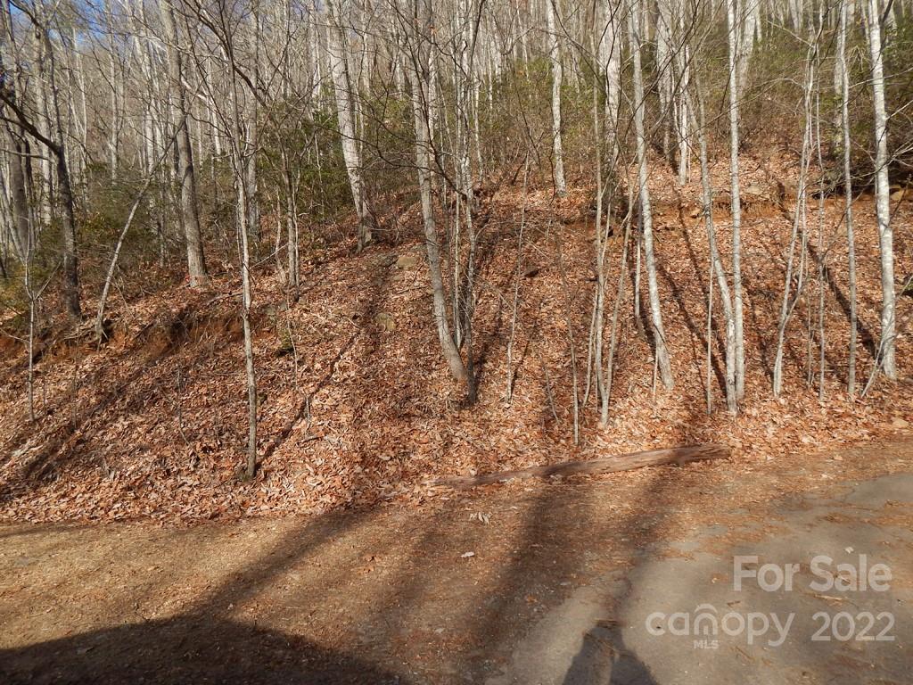 0 Horse Cove Road Canton, NC 28716 - Photo 10 of 12 Gallery Image 10