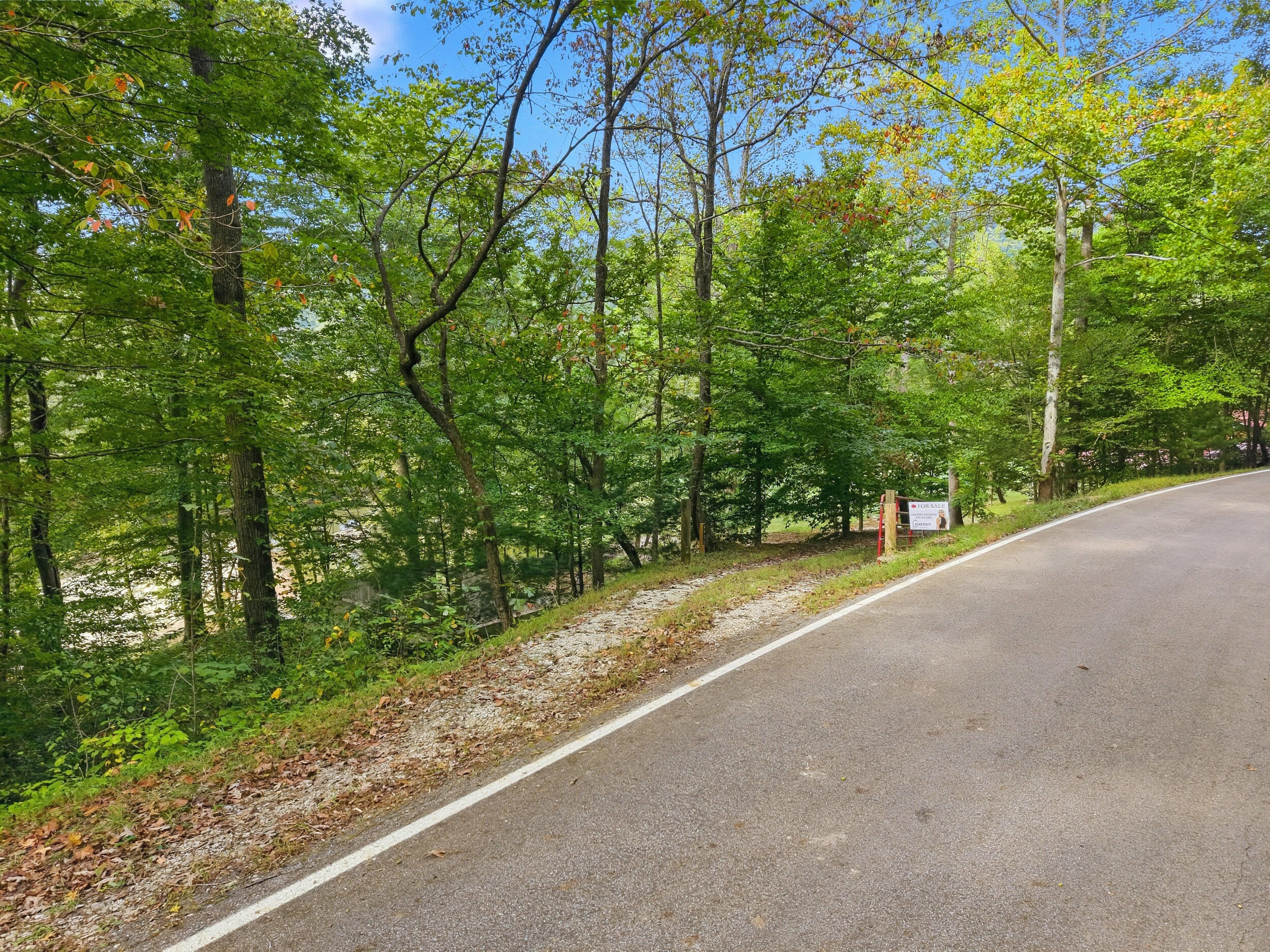 4931 North Fork Road Stanton, KY 40380 - Photo 2 of 15 View from driveway