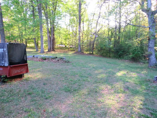 a view of a yard with large trees
