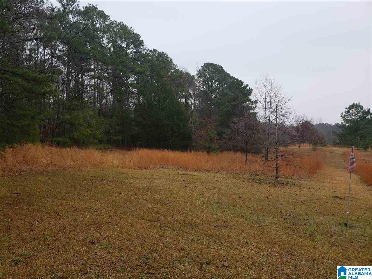 1715 County Road 33 Calera, AL 35040 - Photo 9 of 21