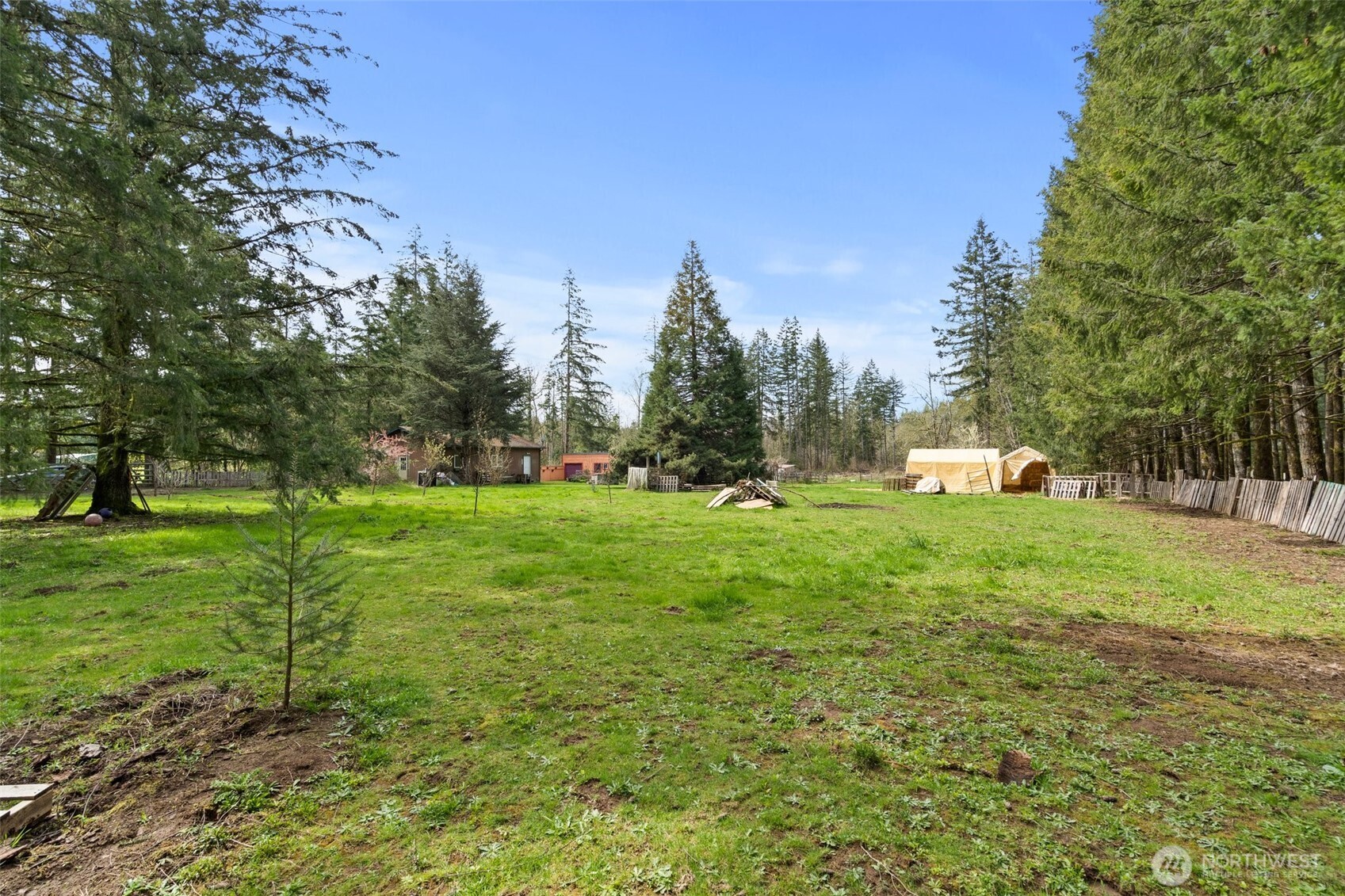 288 Hewitt Road Chehalis, WA 98532 - Photo 27 of 40 a green field with lots of trees in the background