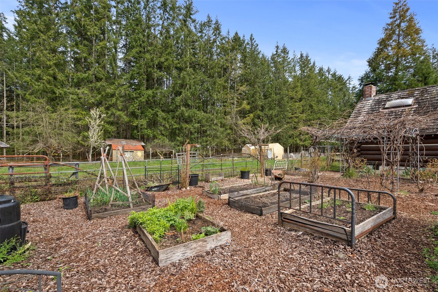 288 Hewitt Road Chehalis, WA 98532 - Photo 30 of 40 a view of a bench in a backyard